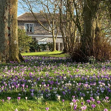 Woodlands Hall Hotel Ederyn Bagian luar foto