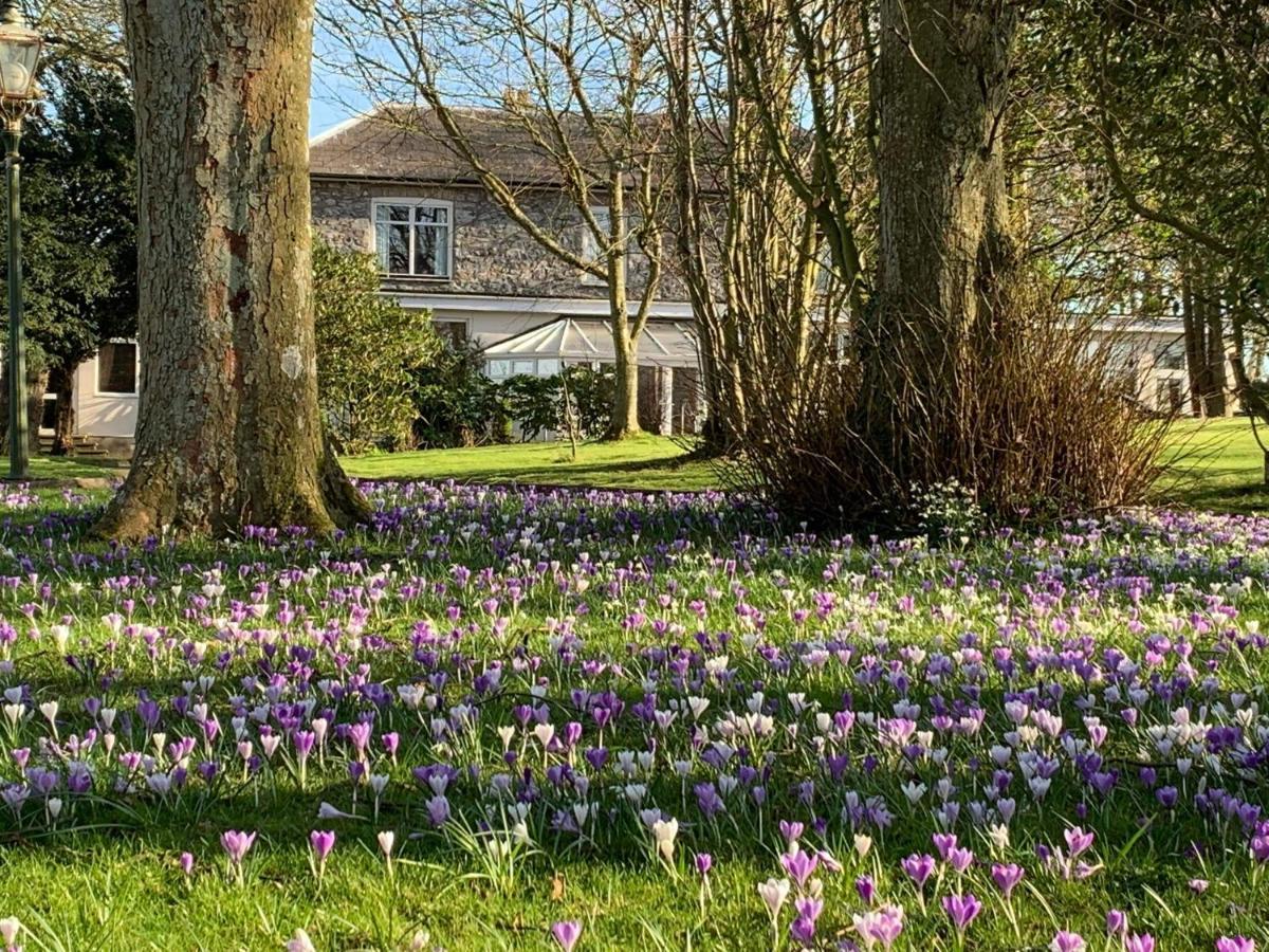 Woodlands Hall Hotel Ederyn Bagian luar foto